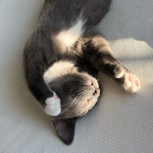 Meet your Posher, Michelle